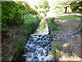 SZ0691 : Small waterfall, Bourne Stream by Paul Gillett