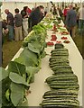 SJ1901 : Vegetables at Berriew Show by Penny Mayes