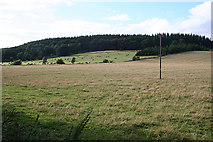  : Looking towards Court Hill by Anne Burgess