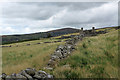 SH4851 : Ruined wall leading to ruined cottage by Trevor Littlewood