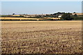 TF2974 : Muck spreading off Furlongs Lane by J.Hannan-Briggs