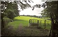 SS8626 : Cattle pasture near East Anstey by Derek Harper