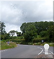 SO1919 : Flock of birds over the A479 SE of Tretower by Jaggery