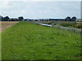 TL2391 : On the bank of North Western Cut by Richard Humphrey