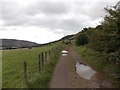 SO1809 : Puddles on a track south of Roundhouse Farm Nantyglo by Jaggery