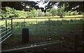 SS7615 : Pen and trees near Cuddenhay Farm by Derek Harper