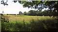 SS7615 : Bales near Cuddenhay Farm by Derek Harper