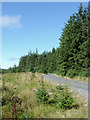 SN8155 : Forestry road in Coed Nantyrhwch, Powys by Roger  D Kidd