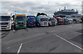 SJ9605 : Lorry parking area in Hilton Park services (northbound), Essington by Jaggery