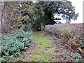 SJ4052 : Footpath to the River Dee by Jeff Buck