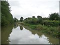 SU2966 : Kennet & Avon canal between bridges 92 and 91 by Christine Johnstone