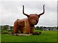 NB4233 : Highland Cow, Stornoway by Rude Health 