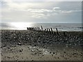 SD2062 : Walney Island Groynes (2) - Southern Row by Rob Farrow