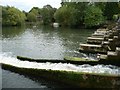 SU7778 : Fish ladder, north end of weir, near Shiplake Lock by Christine Johnstone