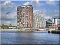 SJ8097 : Salford Quays, North Bay by David Dixon