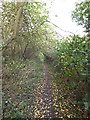 TM3865 : Footpath to Curlew Green by Geographer