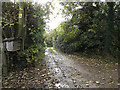 TM3865 : Footpath to Curlew Green by Geographer