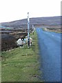 NZ0045 : Snowpoles on the B6278 by Oliver Dixon