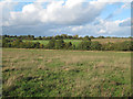 TQ4993 : Pasture, Havering Park Farm, Hainault Forest by Roger Jones