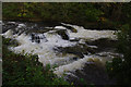 SD5086 : Levens Force, River Kent by Ian Taylor