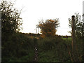 TM4187 : Wash Lane Bridleway to the A145 & Ringsfield Road by Geographer