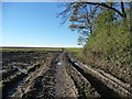 SE4434 : Farm track junction, south-west corner, Weet Wood by Christine Johnstone