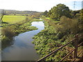 TQ1094 : River Colne from Ebury Way, Watford by Nigel Cox