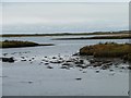 SH4558 : Still waters where the Gwyrfai enters the Foryd by Christine Johnstone