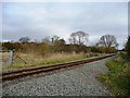 SH4858 : Welsh Highland Railway line by Christine Johnstone