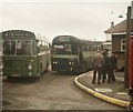 TQ1951 : Two single-decker buses at Box Hill by David Hillas