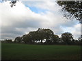 SO6631 : Fields near St. Mary's church, Kempley by Jonathan Thacker