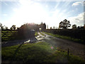 TM2459 : Footpath to Kittle's Corner & entrance to Chestnut Tree Farm by Geographer