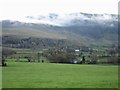 NY3123 : Grassland west of Wanthwaite Mill by Graham Robson