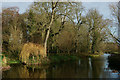 TL4355 : Mill Pond at Grantchester, Cambridgeshire by Peter Trimming