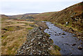 NY9729 : Great Eggleshope Beck by Andy Waddington