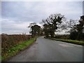  : Chance Hall Lane by Christine Johnstone