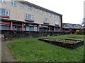 ST3091 : Russell Drive flowerbed in December, Malpas, Newport by Jaggery