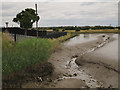 TQ6475 : Tilbury Fort: outer moat by Stephen Craven