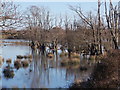 SZ1497 : Hurn: flooded Avon watermeadows by Chris Downer