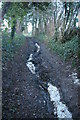 TQ4363 : Path scoured by runoff, Bogey Lane, between Farnborough and Downe by Christopher Hilton