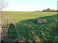 SK9026 : Water trough in pasture field, east of Grantham Road by Christine Johnstone