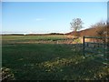  : Eastern edge, arable field, Ponton Heath by Christine Johnstone