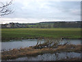 SD5190 : Watercrook Farm and the River Kent by Karl and Ali