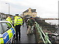 NT3273 : Whale watchers at Joppa by M J Richardson