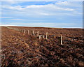 SE0668 : Boundary Fence on Combes Hill (North) by Chris Heaton