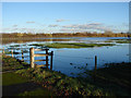 TQ0467 : Chertsey floods 2014 by Alan Hunt