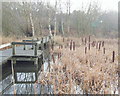 SK5446 : Moorbridge Pond Nature Reserve, Bestwood, Notts. by David Hallam-Jones