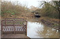 SK5446 : Springfield Corner Nature Reserve, Moor Bridge, Notts. by David Hallam-Jones