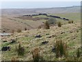 SE0040 : Drystone wall crossing the northern side of Aspar Hill by Christine Johnstone