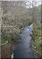 SS9188 : The Afon Garw/River Garw at Tylagwyn by eswales